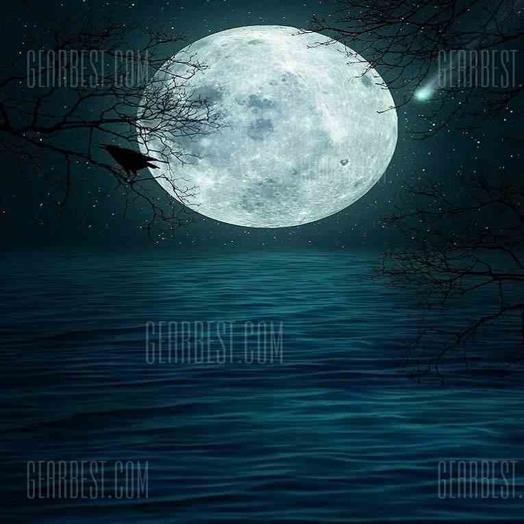 offertehitech-gearbest-Halloween Terrifying Moon Lake Night Background Cloth